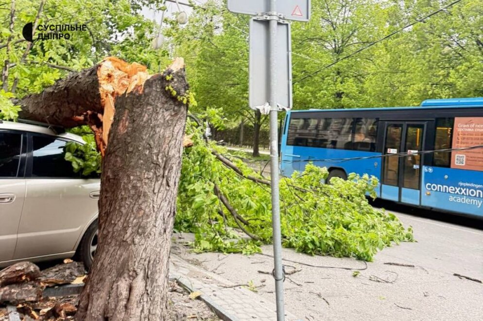 Буревій у Дніпрі: вітер зриває дахи та валить дерева