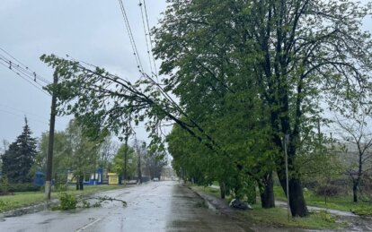 Буревій у Дніпрі: вітер зриває дахи та валить дерева