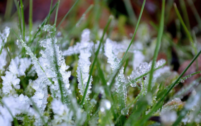 Заморозки та сильний вітер: якою буде погода в Україні та Дніпрі 24 квітня