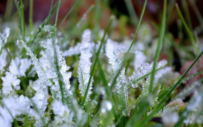 Украину ожидает новая волна похолодания: синоптики предупредили о заморозках