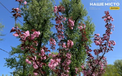 24 квітня: які традиції, прикмети та заборони цього дня