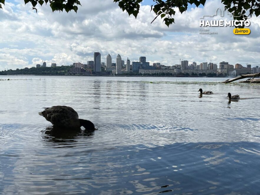 Холоди та мокрий сніг на Великдень: якою буде погода 11-12 квітня в Україні та Дніпрі