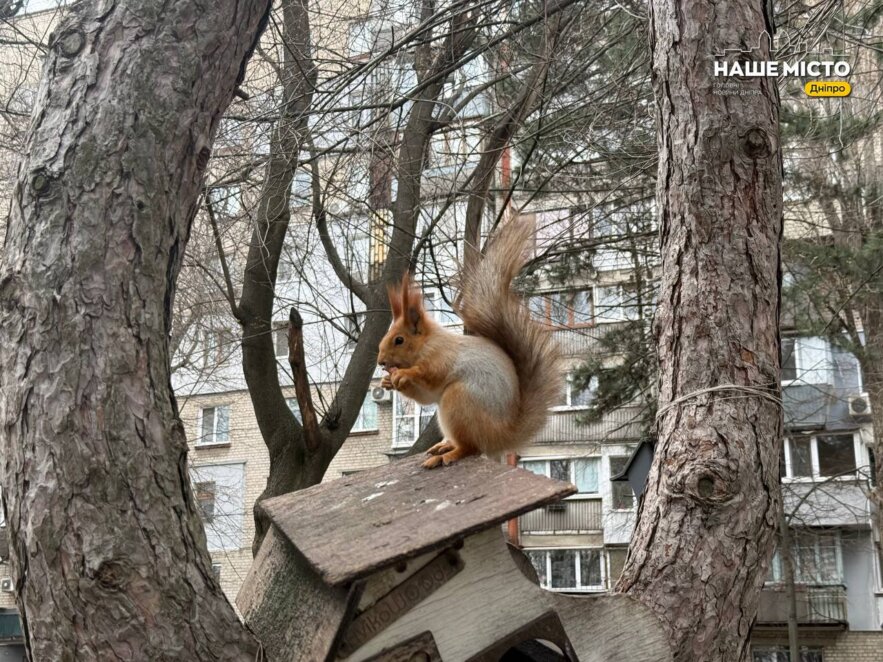 ЕКСКЛЮЗИВ
                                Зелена пауза серед міста: маршрут для весняної прогулянки парком Писаржевського у Дніпрі