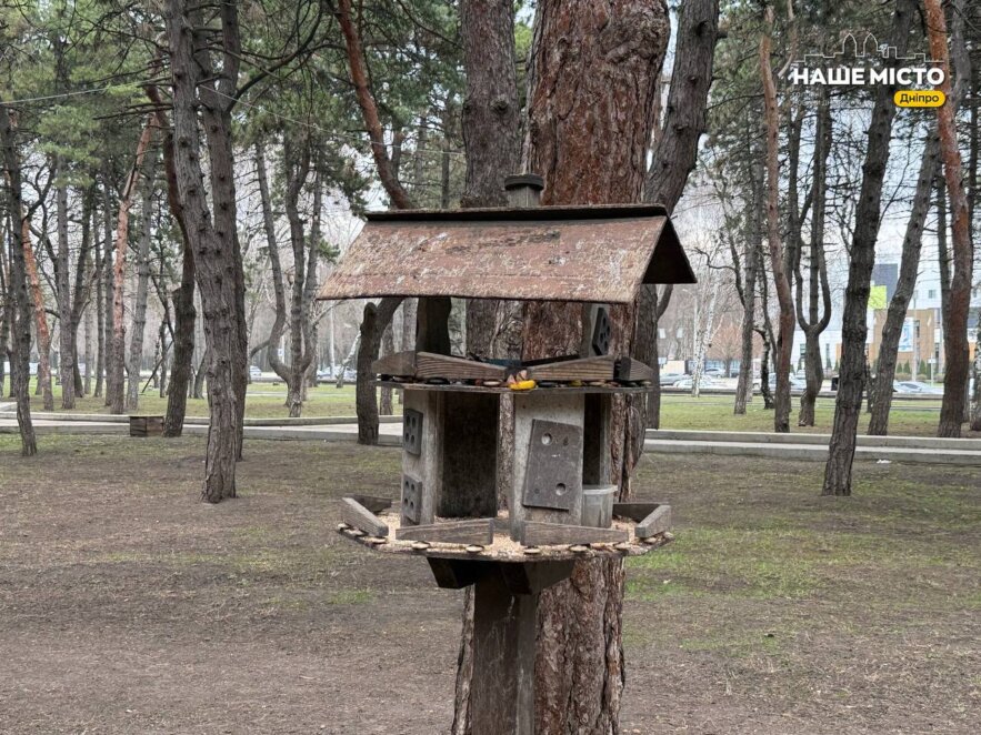 ЕКСКЛЮЗИВ
                                Зелена пауза серед міста: маршрут для весняної прогулянки парком Писаржевського у Дніпрі