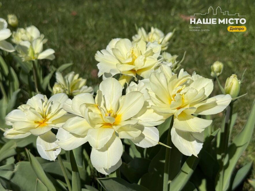 Страсна п’ятниця 10 квітня: прикмети та забобони