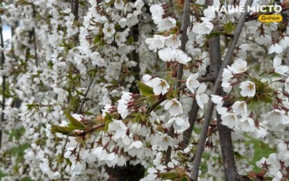 Яке сьогодні свято: прикмети та забобони 27 квітня