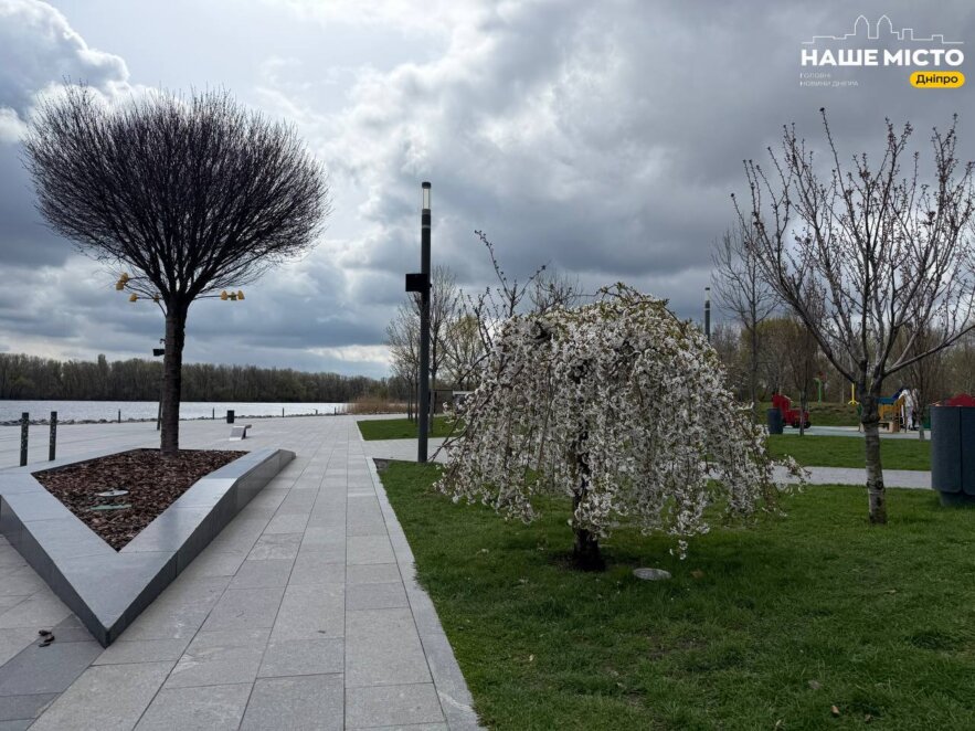 ЕКСКЛЮЗИВ
                                Сквер Прибережний у Дніпрі: магнолії «взяли паузу», а форзиція розцвіла яскравим жовтим килимом