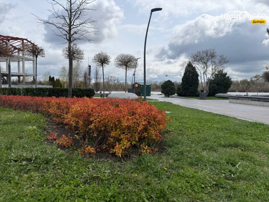ЕКСКЛЮЗИВ
                                Сквер Прибережний у Дніпрі: магнолії «взяли паузу», а форзиція розцвіла яскравим жовтим килимом