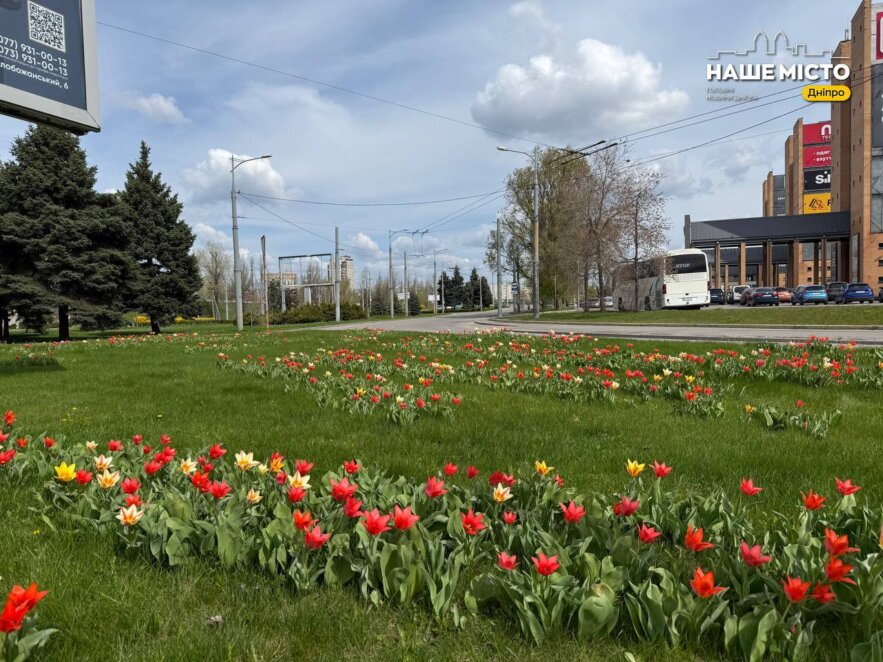 ЕКСКЛЮЗИВ
                                У Дніпрі поблизу ТРЦ Вавілон масово розквітли тюльпани