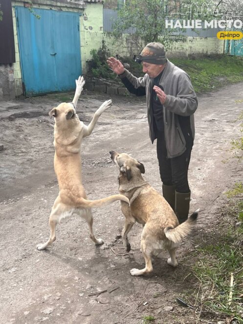 ЕКСКЛЮЗИВ
                                Дрон впав на будинок у Дніпрі: жінка разом з сусідами врятувала дім від знищення