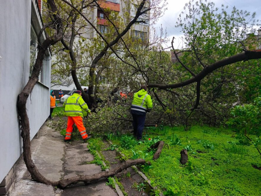 ЕКСКЛЮЗИВ
ОФІЦІЙНО                У Дніпрі увесь день ліквідують наслідки буревію