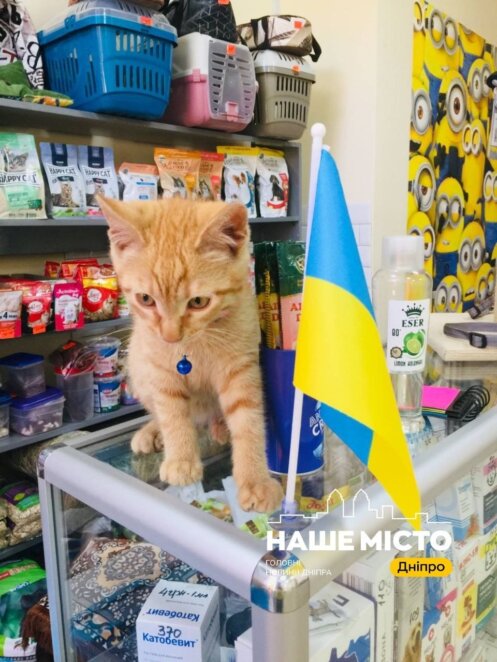 ЕКСКЛЮЗИВ
                                Власниця зоомагазину — про ракетний удар по будинку у Дніпрі: “Я по камерах бачила, як летить скло”