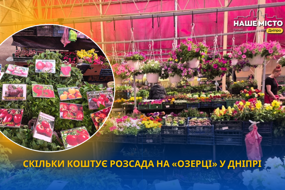 Ціни на розсаду у Дніпрі