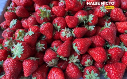 У Дніпрі з’явилась перша місцева полуниця за кусючою ціною - Наше Місто
