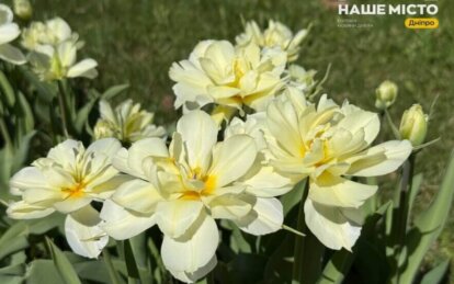 4 мая: приметы и запреты этого дня