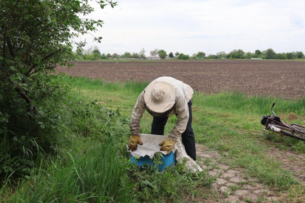 Дніпровські студенти проводять унікальне дослідження петриківського розпису в межах проєкту Heritage Lab