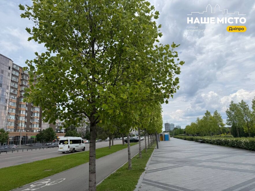 ЕКСКЛЮЗИВ
                                Тюльпанове дерево зацвіло у Дніпрі: де побачити травневе диво