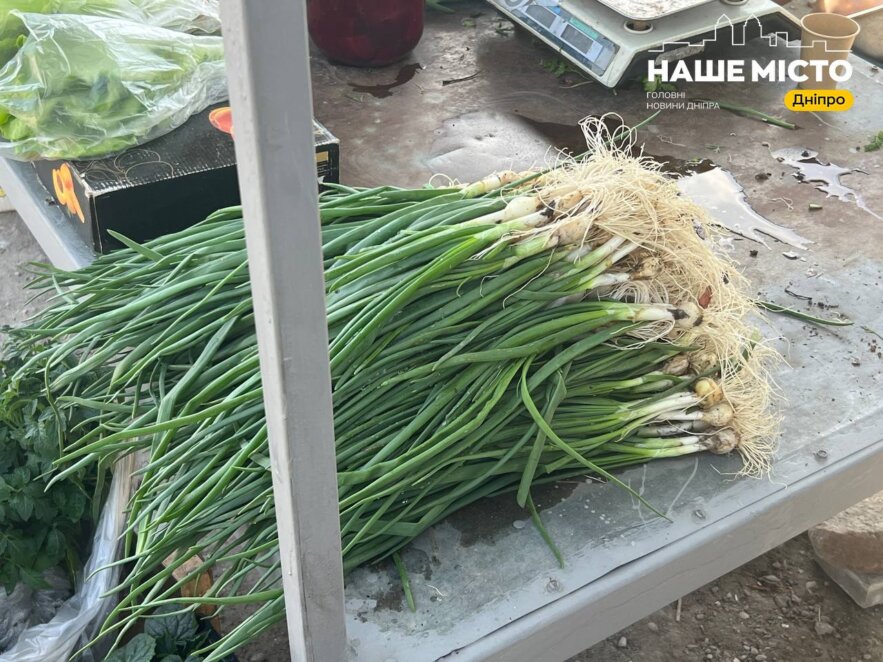 ЕКСКЛЮЗИВ
                                «Трофимівський» ринок у Дніпрі: свіжа зелень, домашні продукти та атмосфера живого базару