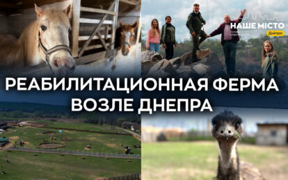 «Зеленый гай» под Днепром: как сыроварня-ферма стала местом реабилитации людей и спасения животных