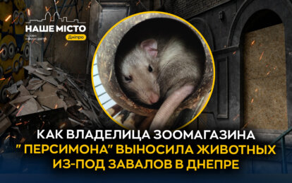Доставала из-под завалов: как владелица зоомагазина «Персимона» в Днепре спасала животных после атак...