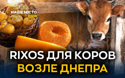 Курорт для коровей рядом с Днепром: как на ферме «Зеленый гай» работает уникальный молочный комплекс...