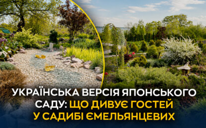 Японський сад біля Дніпра: що дивує гостей у садибі Ємельянцевих 