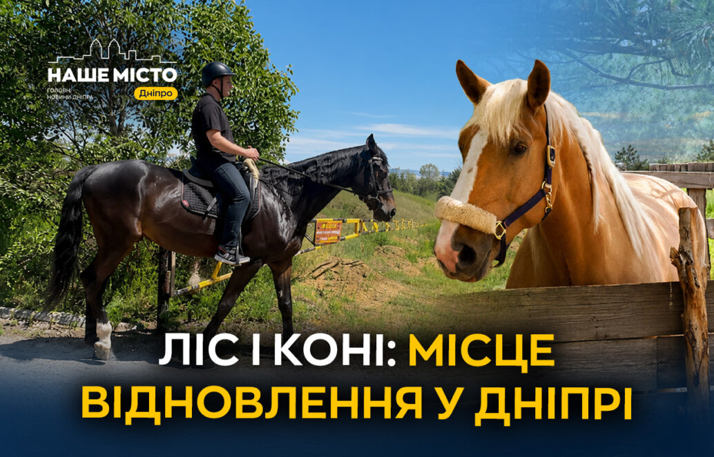 Іпотерапія в лісі: у Дніпрі працює унікальний простір реабілітації для військових та містян