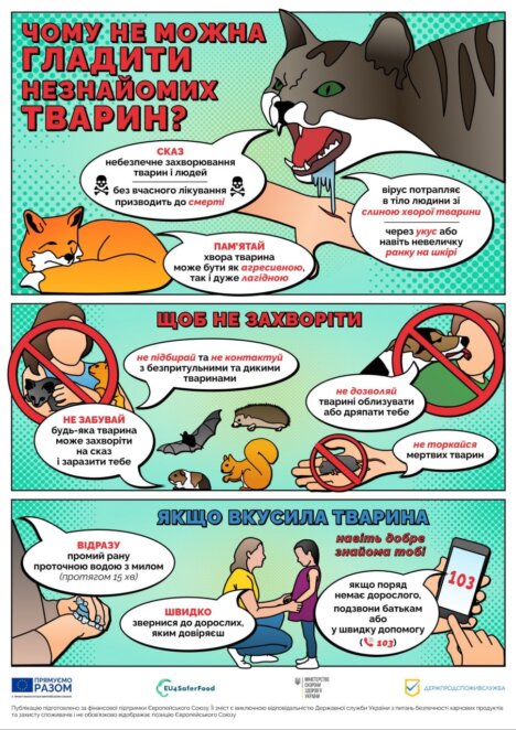 Чому не можна гладити незнайомих тварин: прості правила можуть врятувати життя