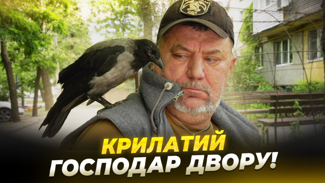 Місцева знаменитість: в одному з дворів Дніпра оселився ворон Жорік