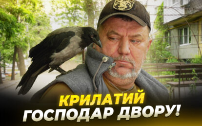 Местная знаменитость: в одном из дворов Днепра поселился ворон Жорик