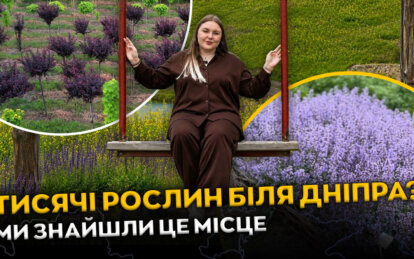 Тунель бажань, «карпатська гойдалка» та тисячі рослин: чим дивує гостей зелена перлина Спаського