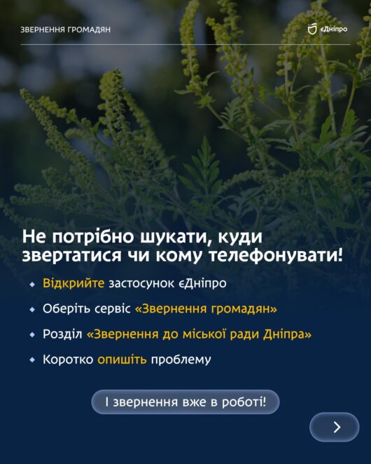 ОФІЦІЙНО                Мешканців Дніпра закликають повідомляти про осередки амброзії через застосунок «єДніпро»