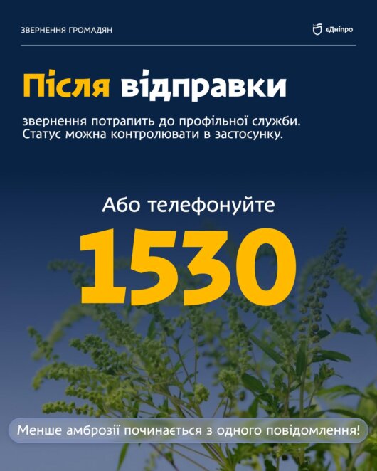 ОФІЦІЙНО                Мешканців Дніпра закликають повідомляти про осередки амброзії через застосунок «єДніпро»