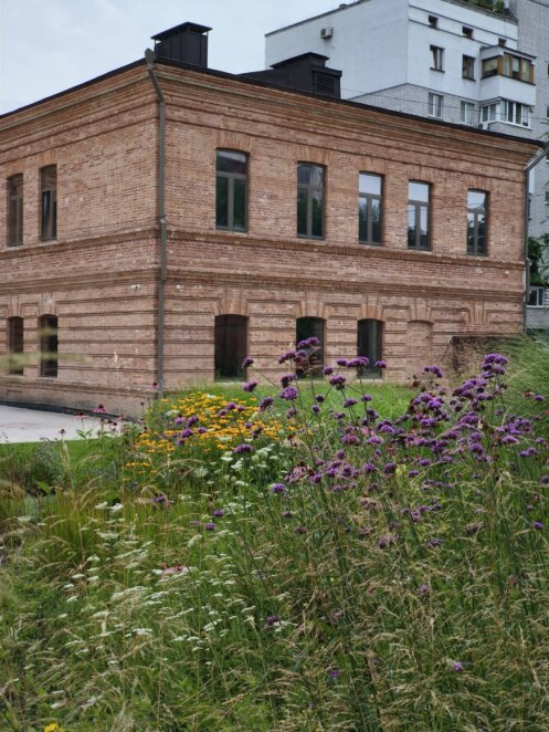 Оаза природи у центрі Дніпра: у внутрішньому дворі Центру сучасної культури ховається затишний квітучий садок