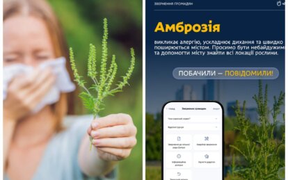 Жителей Днепра призывают сообщать о очагах амброзии через приложение «єДніпро»