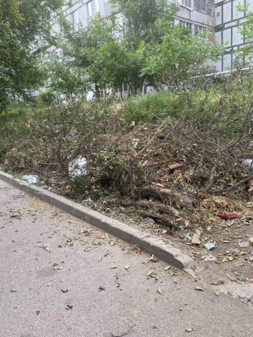 У Дніпрі продовжують прибирати території та вивозити сміття за заявками містян