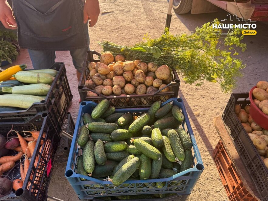 ЕКСКЛЮЗИВ
                                Вечірня «Озерка» у Дніпрі: скільки коштують свіжі продукти та фермерські товари