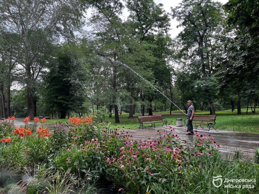 У Дніпрі розпочався пік цвітіння гортензій