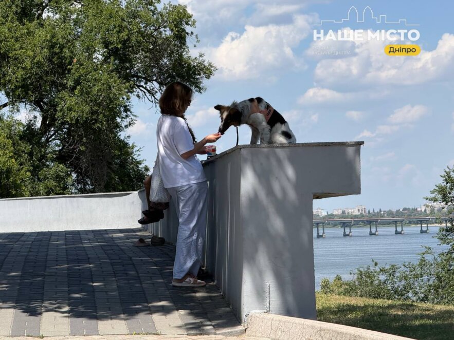 ЕКСКЛЮЗИВ
                                Тіниста прохолода та краєвиди на Дніпро: який вигляд має парк Шевченка наприкінці липня