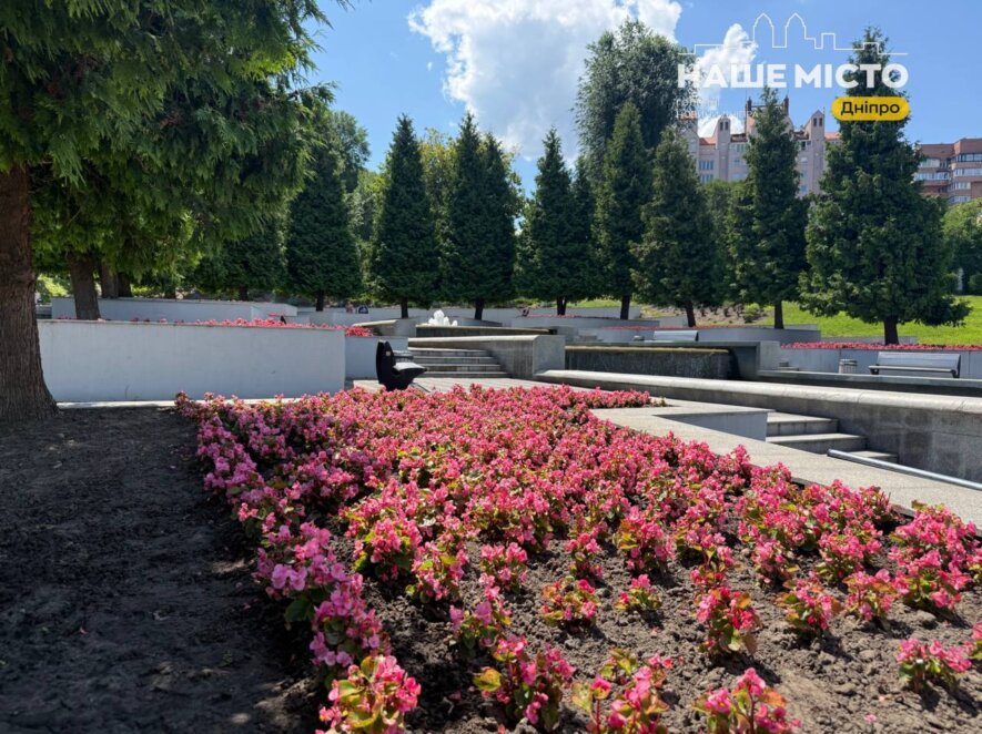 ЕКСКЛЮЗИВ
                                Тіниста прохолода та краєвиди на Дніпро: який вигляд має парк Шевченка наприкінці липня