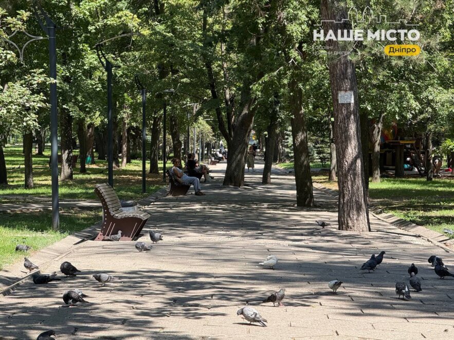 ЕКСКЛЮЗИВ
                                Тіниста прохолода та краєвиди на Дніпро: який вигляд має парк Шевченка наприкінці липня
