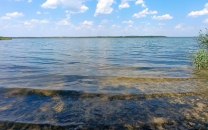 У 5 водоймах Дніпропетровщини знайшли холероподібний вібріон