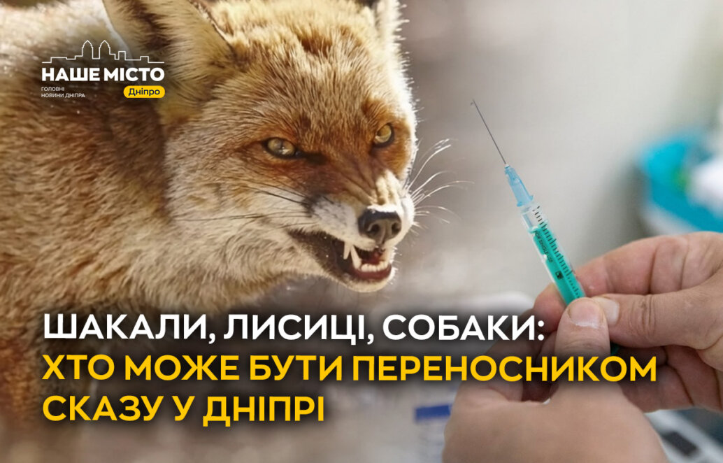ЕКСКЛЮЗИВ
                                Шакали, лисиці, собаки: хто може бути переносником сказу в Дніпрі