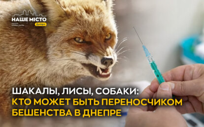 Шакалы, лисы, собаки: кто может быть переносчиком бешенства в Днепре