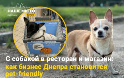 Днепр глазами четвероногой гостьи: куда можно пойти вместе с собакой