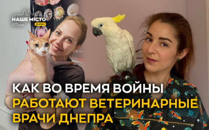 Спасают лапу, крыло и панцирь : как в войну работают ветеринарные врачи Днепра