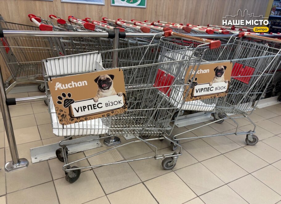 ЕКСКЛЮЗИВ
                                Дніпро очима чотирилапої гості: куди можна сходити разом із собакою