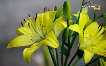 Яке сьогодні свято: прикмети та забобони 14 серпня