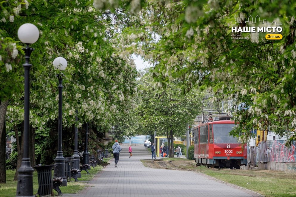 Як у Дніпрі курсує громадський транспорт 30 серпня