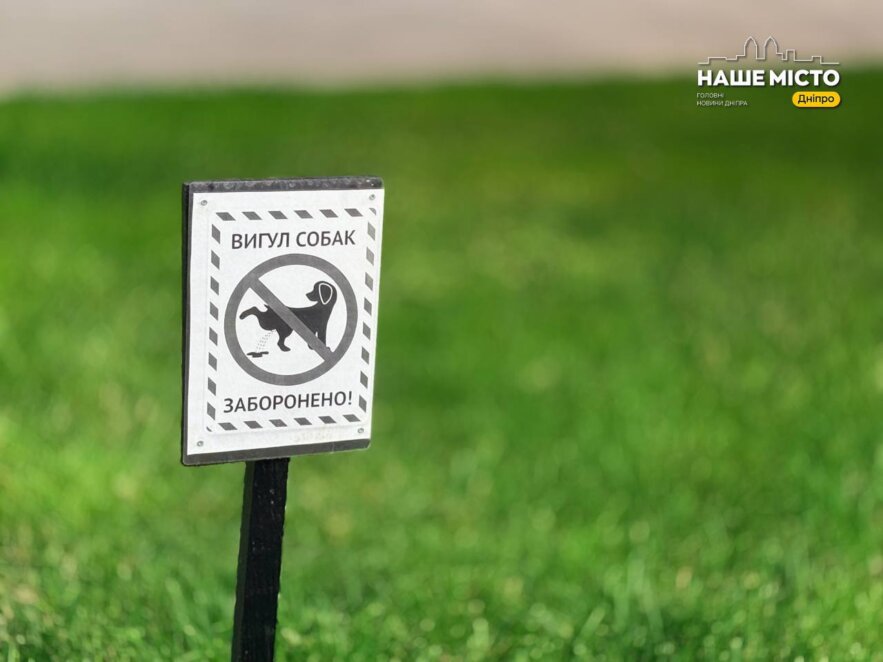 ЕКСКЛЮЗИВ
                                Дніпро очима чотирилапої гості: куди можна сходити разом із собакою